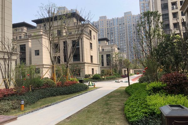 中梁玖号院