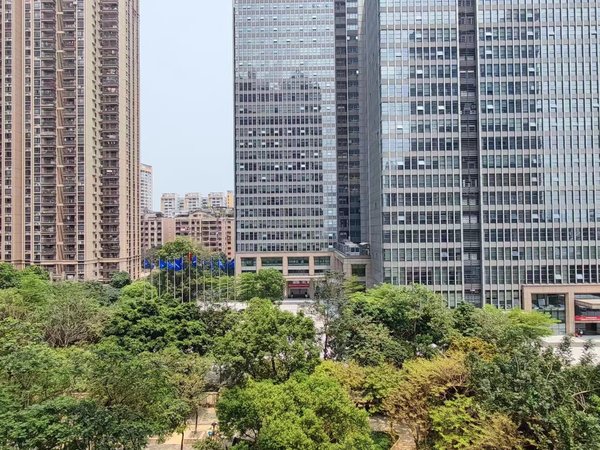 【多图】珠光新城御景(二期),珠江新城东租房,一房一厅 近地铁 景观好