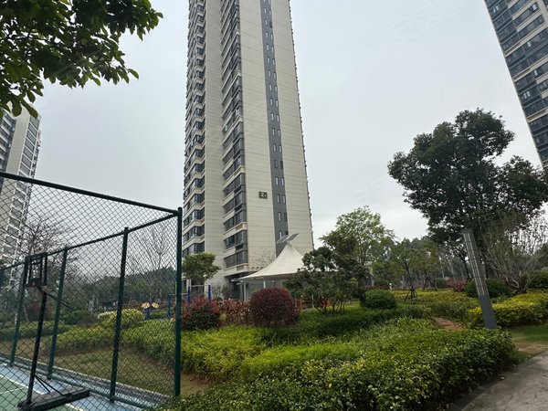 【多图】金林湾花园,湖里万达租房,万达商圈 湿地公园旁金林湾花园