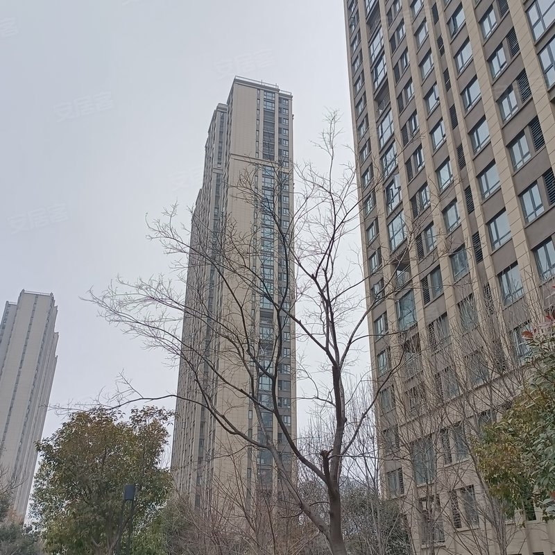 【汇泉西悦城8号院, 汇泉西悦城8号院小区详情,房价走势,房源,业主