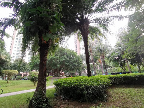 深圳宝安西乡丽景城12号地铁口大花园小区丽景城精装大2房1厅仅租3900