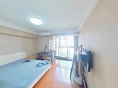 上海闵行漕宝路九号线合川路站，精装修电梯一房整租，拎包入住，近漕河泾开发区出租房源真实图片