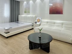 合肥蜀山三里庵金寨路 中科大 黄金广场 奥园 一室一厅朝南 干湿分离安医出租房源真实图片