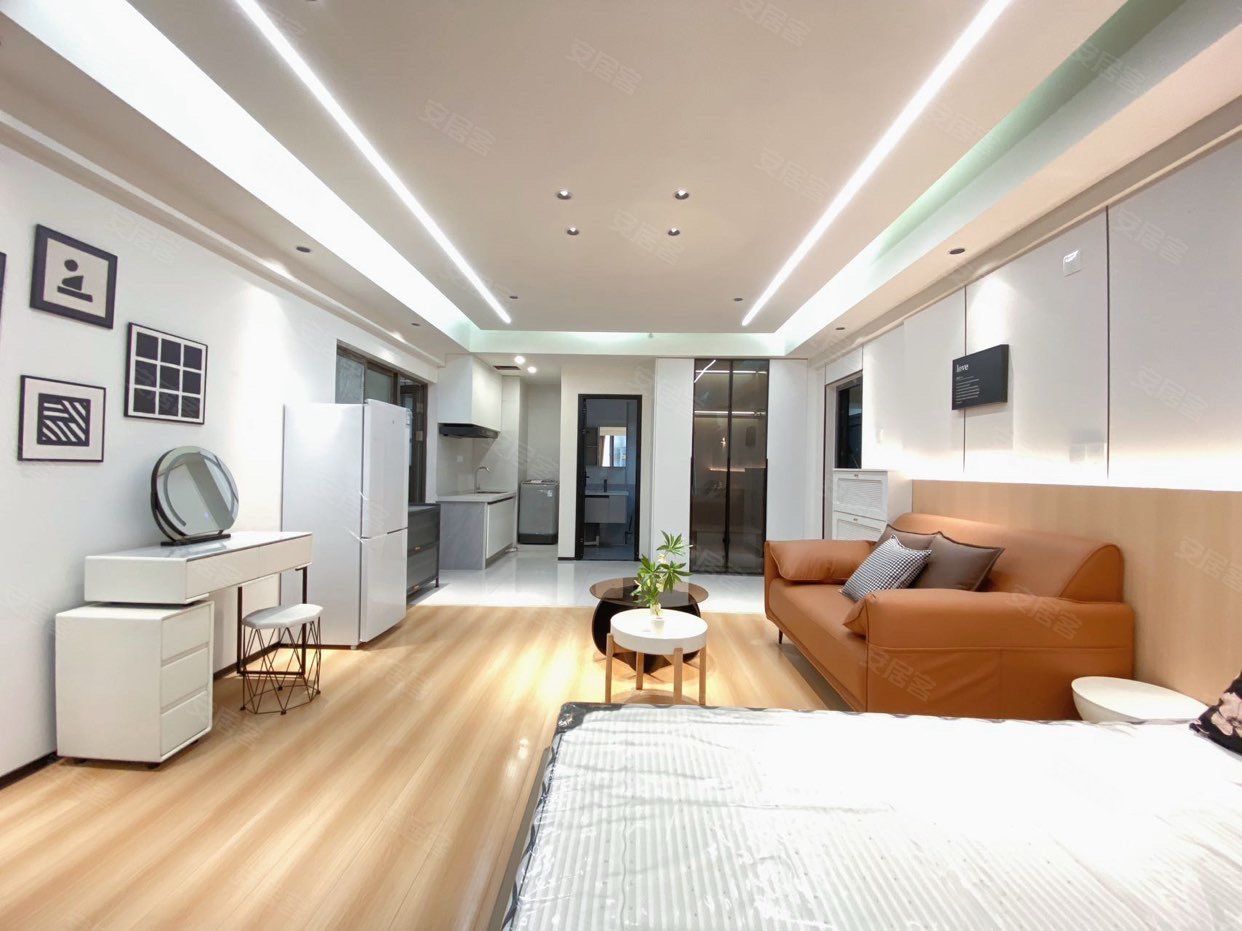 侯家塘 贺龙体育馆 摩天一号 一室整租 月付 电梯精装