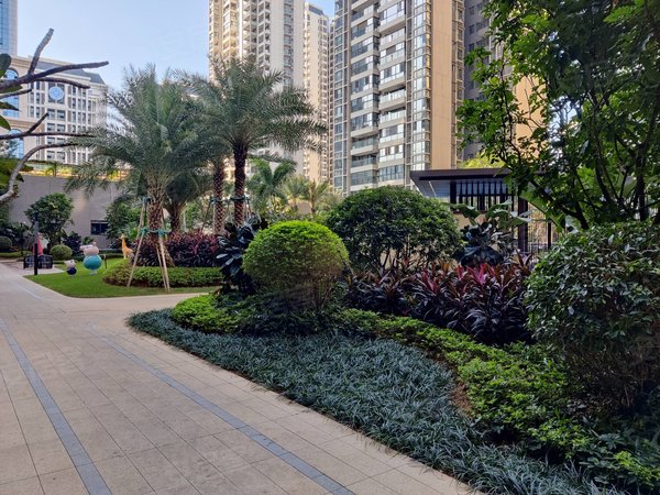 南宁良庆五象大道彰泰城彰泰城 1室1厅1卫 少女风精装 配套齐全 出行