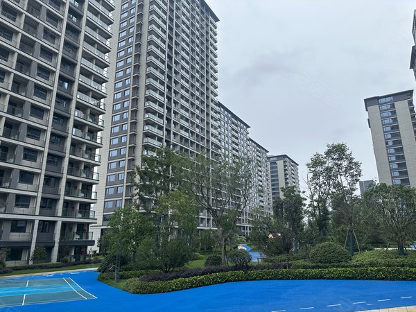 杭州富阳银湖众安顺源府6号线虎啸杏地铁口  精装修  领包入住  随时