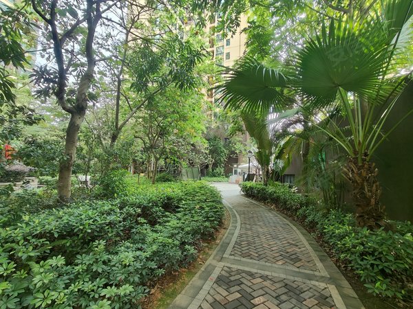 【多图】天健世纪花园(b区),望州岭租房,急租 天健世纪花园 精装2房