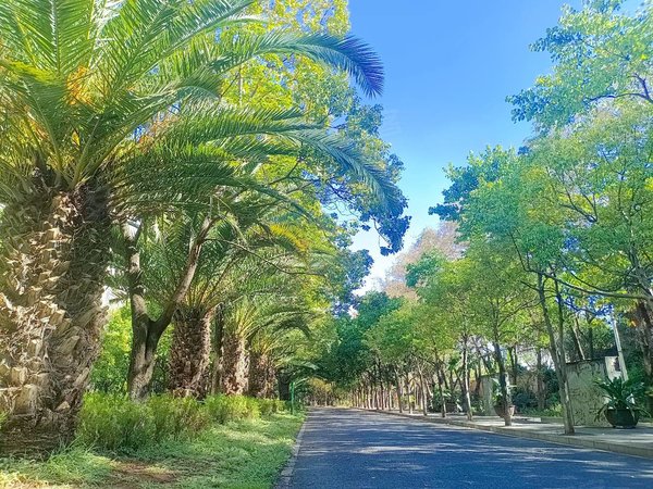 昆明宜良宜良城区乡鸭湖春华苑乡鸭湖 144平 1166元每月 四室两卫空房