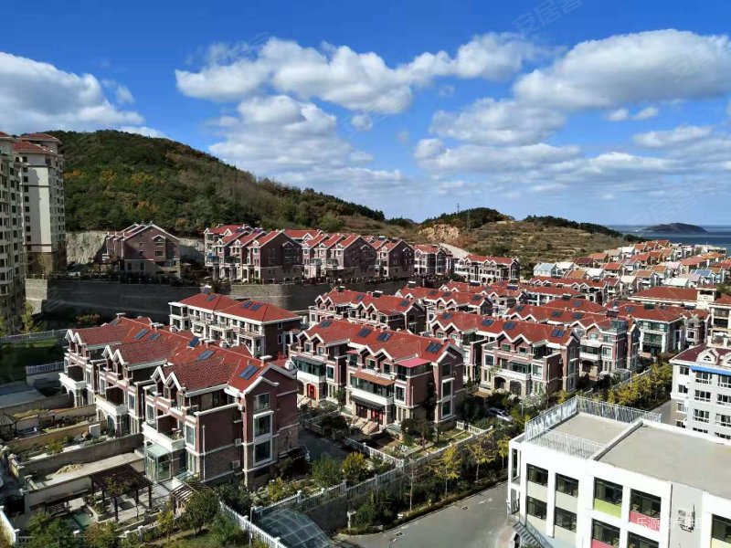 维多利亚 联排别墅共四层 5室3厅3卫 独门独院 地上大车库