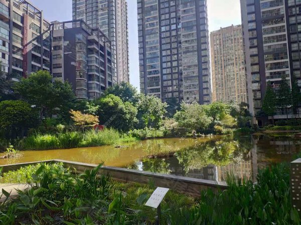 昆明盘龙火车北站星雅俊园火车北站地铁旁!精装2房全套!可季度付!