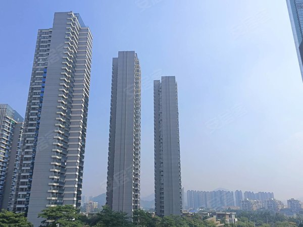 广州南沙金洲南沙金茂湾(商住楼)南沙看明珠湾灵山岛  江景漂亮  怜包