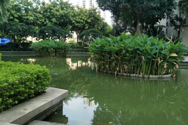三水雅居乐花园,碧堤路8号-佛山三水雅居乐花园二手房,租房-佛山安居