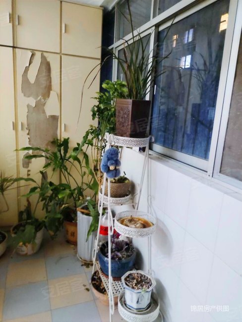 南阳路博颂路均价6000多三卧朝阳2楼停车方便