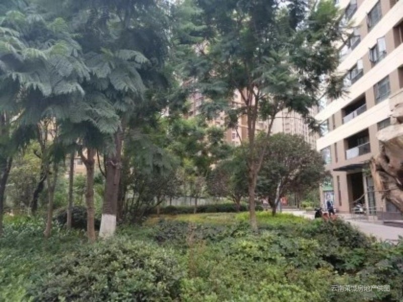 葡萄街区天宇花园 近医院 精装好房 高楼层采光充足 交通便利