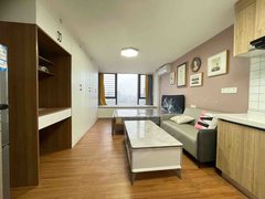 泉州晋江桥南片区宝业头家 1室0厅1卫  电梯房 精装修40平米出租房源真实图片