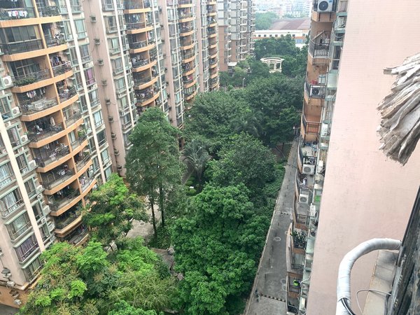 【多图】骏景花园,棠下租房,新上两房 业主好话 租金便宜 房子装修