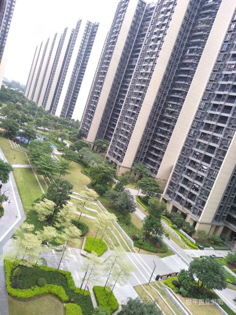 佛山房产网>佛山二手房>三水二手房>西南二手房>时代南湾(二期)>488