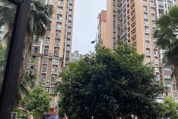 树高长江国际青年城