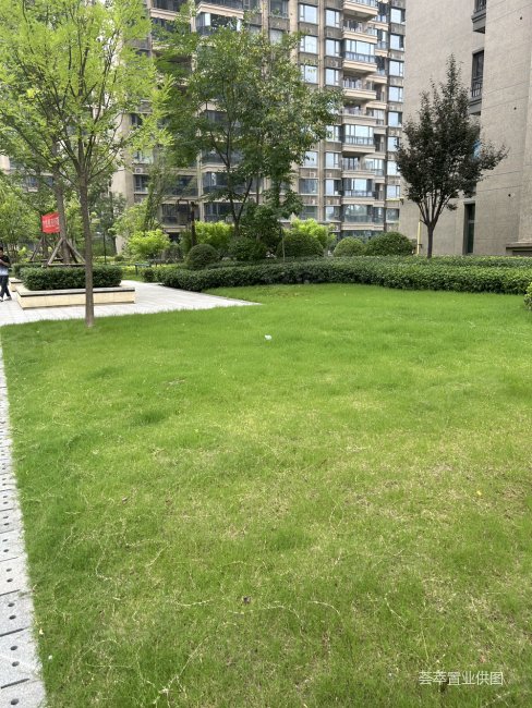 地铁口,恒大雅苑二手房,99万,4室2厅,2卫,146平米-西安安居客