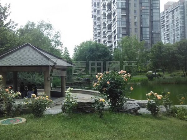 朝阳公园租房,明厨双明卫 正南 3室2厅 国兴观湖国际,朝阳租房-北京58