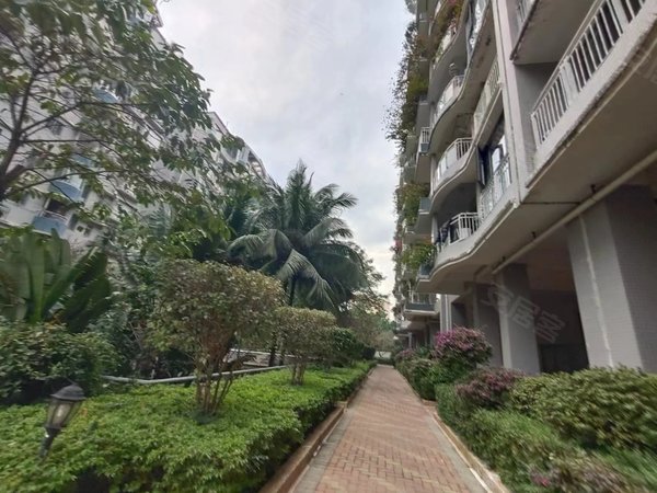 深圳南山后海蓝月湾畔蓝月湾畔 南北通透 2房  近北师大中学 精装家私