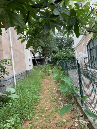 三正卧龙山花园(别墅)5室2厅4卫293㎡南北880万