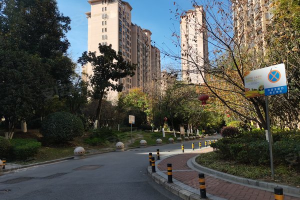 合肥二手房 隆昊昊天园 > 张本志解读隆昊昊天园轨道交通