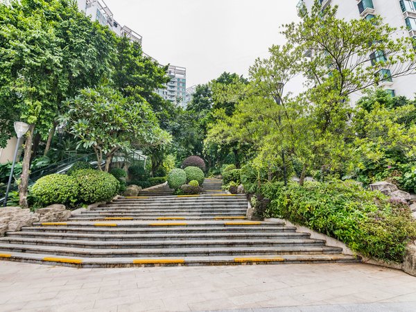 【多图】城市山林,南油租房,9号线荔林站地铁口,城市山林二期4房,南北