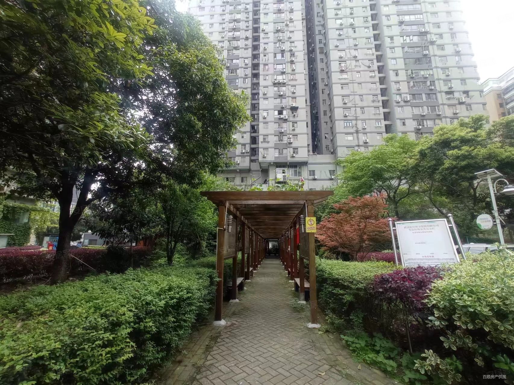江滩公园长春门 外滩棕榈泉  两室 老证