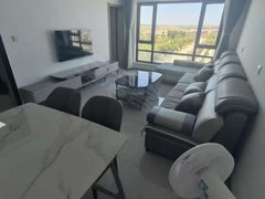 阿拉尔青松路时代城市广场新苑名府一室一厅精装需要的火速联系出租房源真实图片