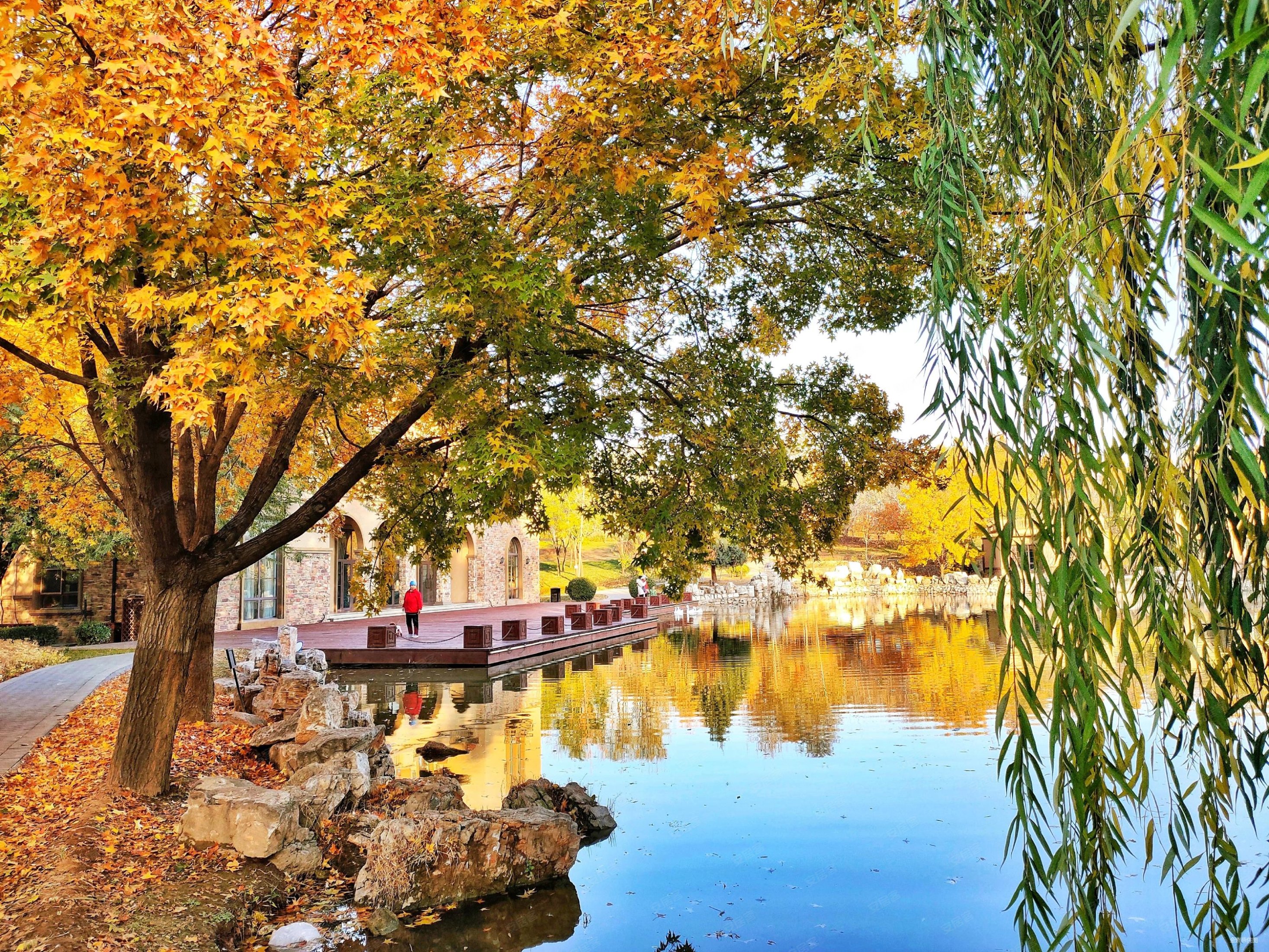 三面朝南 双主卧 父母孩子都有阳光 通透双卫,浅山香邑二手房,200万,3