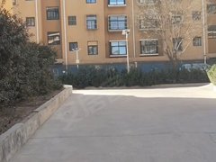 淄博淄川淄川 3室2厅1卫出租房源真实图片