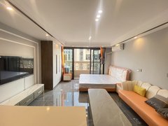 蔷薇7期丨单身公寓丨精致装修带空调和很宽敞的阳台丨拎包入住