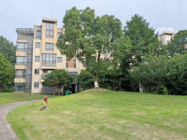 杭州富阳东洲逸城(公寓住宅)逸城花园洋房出租 精装修 拎包入住3000包