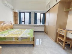 武汉黄陂汉口北新华南  冷链附近 电梯一房 朝南 采光好 家具家电出租房源真实图片