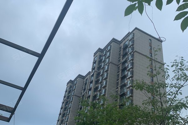 枣庄小区 薛城小区 城东区域小区 大都公园悦府