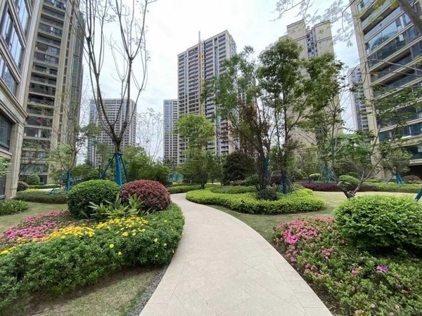 资阳雁江正兴街多弗绿城诚园多弗绿城诚园 2室1厅1卫出租房源真实图片