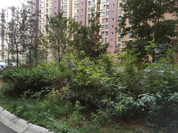 曲靖麒麟万达广场水岸雅苑万达旁水岸雅苑精装两房两厅一卫一厨一阳台