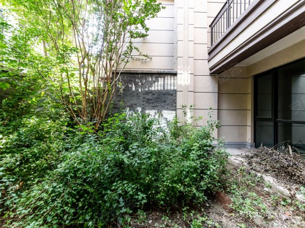 独墅湾雅苑联排别墅品质小区看房有钥匙看中价格可谈