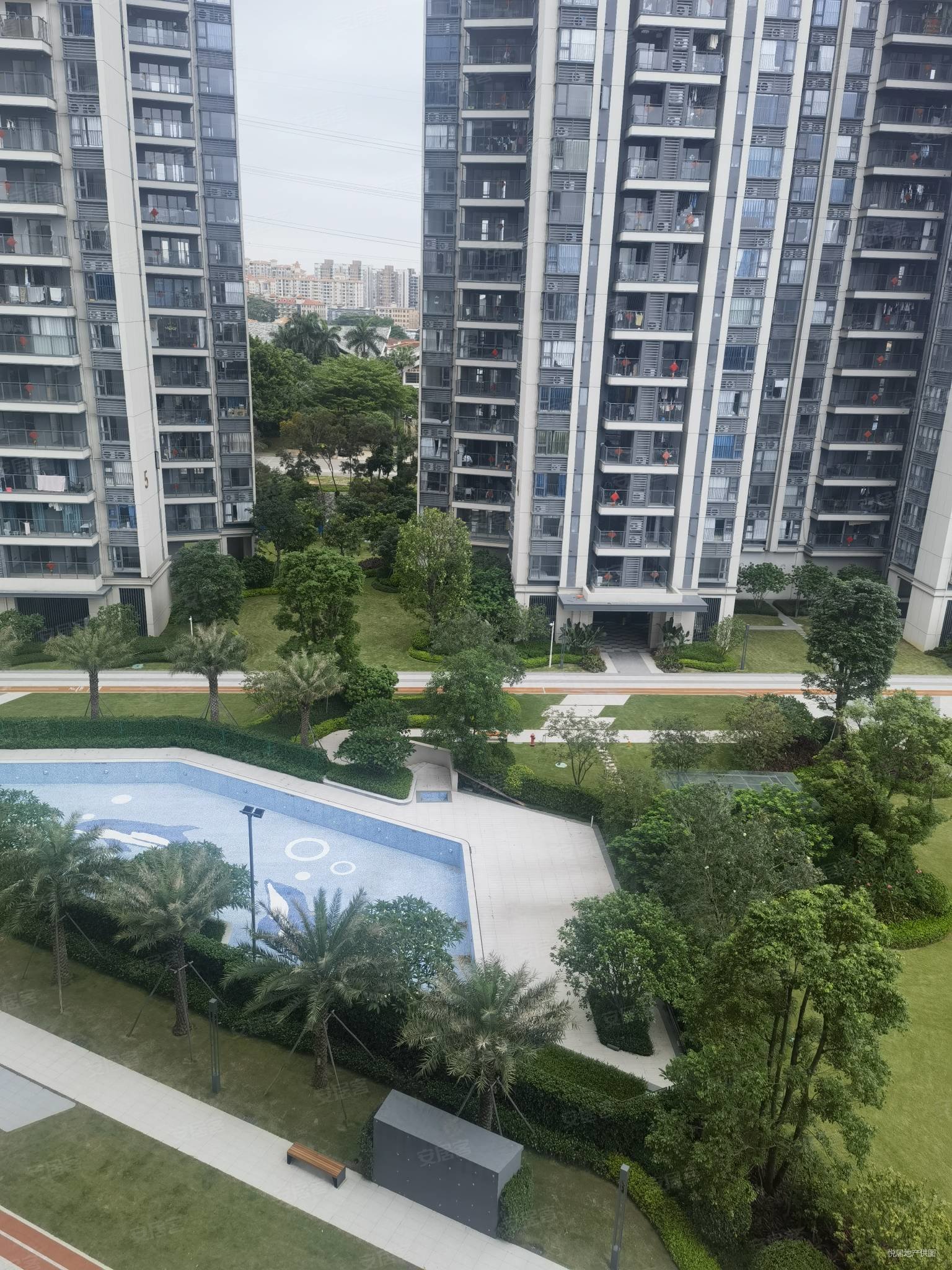 东莞房产网>东莞二手房>大朗二手房>体育馆二手房>阳光城湖山悦>1536