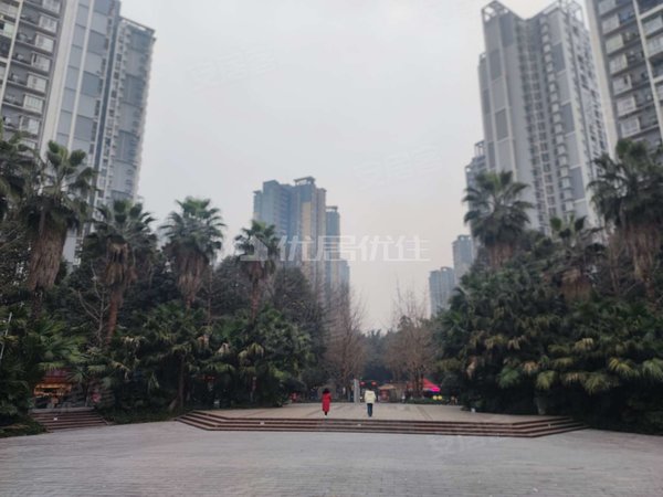 【多图】奥林匹克花园新亚洲,汽博中心租房,奥园四期精装大三房带阳光