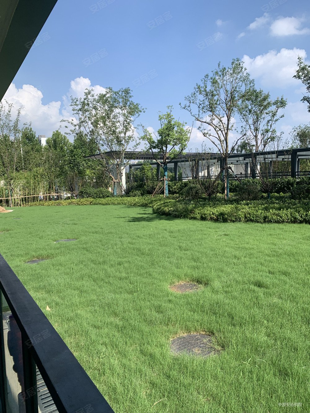 大正水晶森林2期