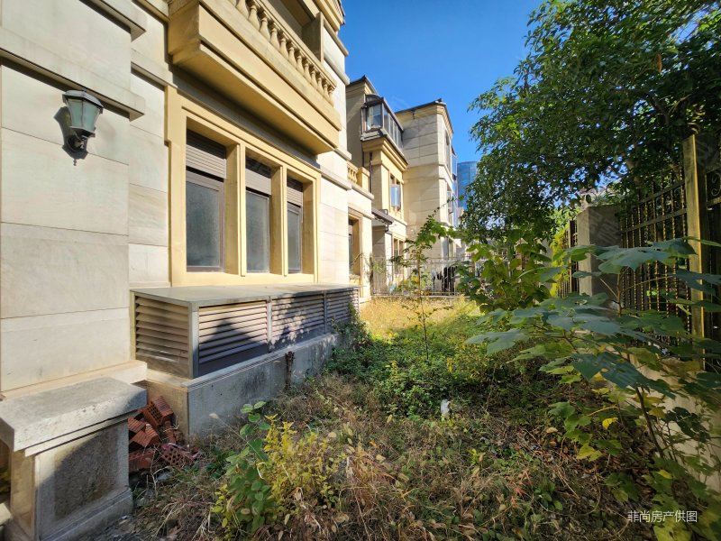 金辉融侨城别墅2层独栋u型150花园只此一套5套房