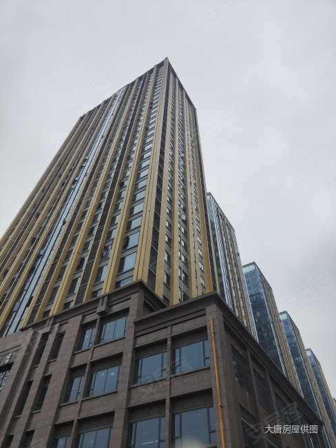 75平,洲际华府广场二手房,52万,1室1厅,1卫,48.75平米-成都安居客