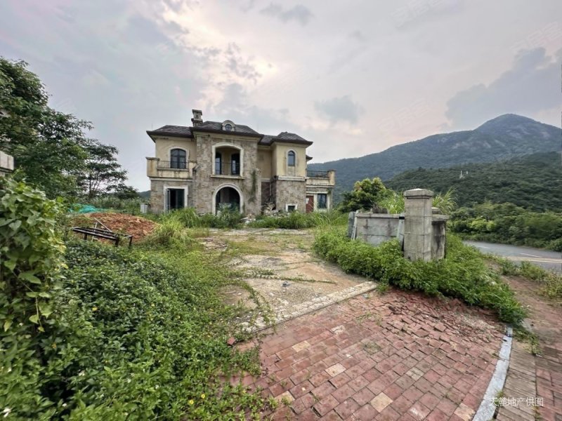 天麓(三区别墅)5室2厅5卫278.67㎡南北1610万