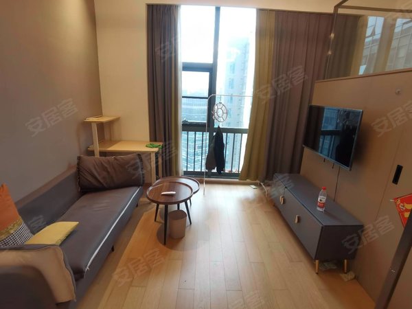 【多图】仁恒梦公园,大运租房,龙岗中心城仁恒梦,精装一房一厅,看房