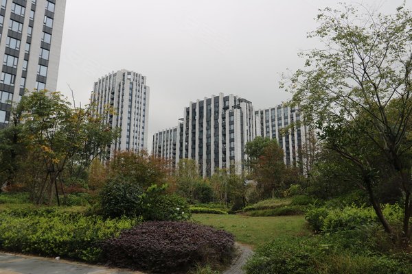 武林外滩(公寓住宅)