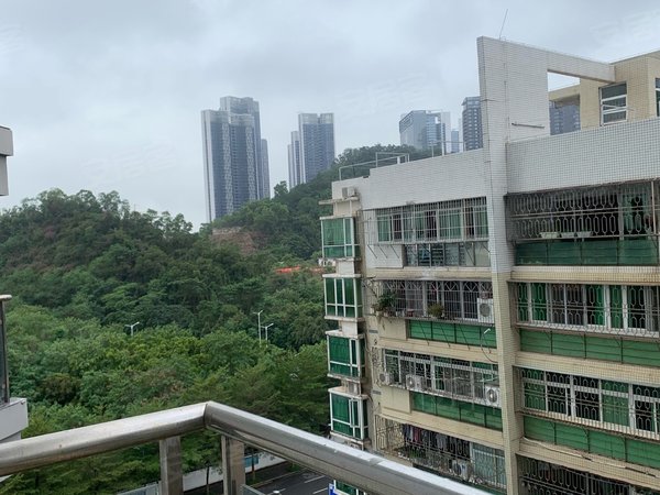 深圳南山蛇口金色海琴苑金色海琴苑 75平精装两房 格局方正 安静宜家