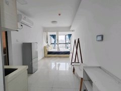 江门江海中环广场精装电梯一房 环境舒适 便宜租房 康城小区出租房源真实图片