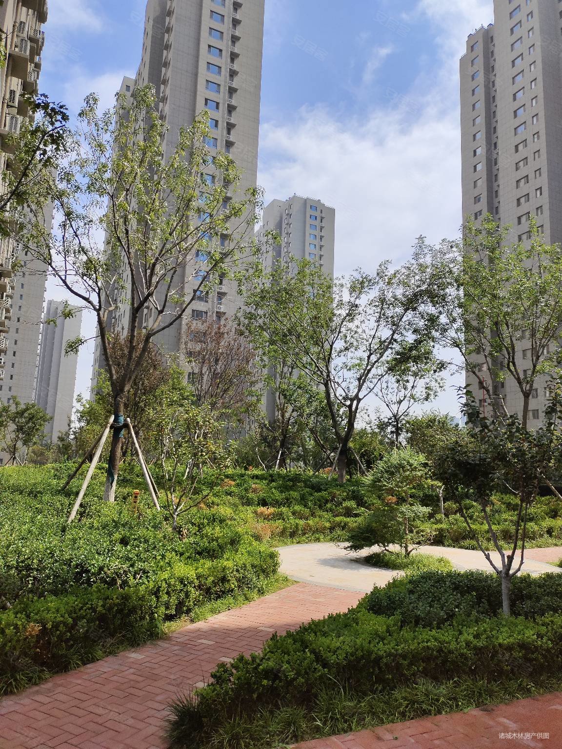 仅需110万买橡树湾160平套四双卫全明户型高层凤凰层